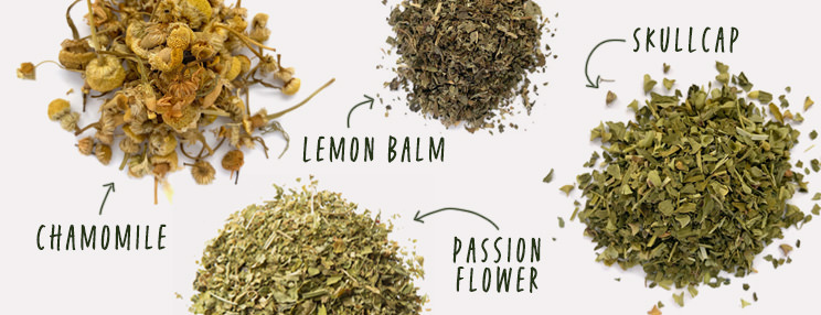 Synergistic Herbs for Evening Routine