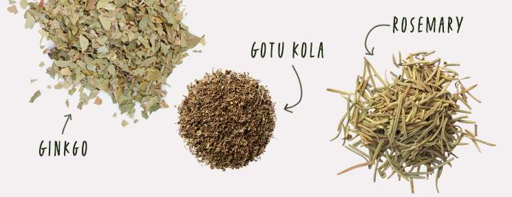 Synergistic Herbs for Mindful Awareness