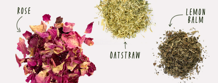 Synergistic Herbs for Environmental Balance