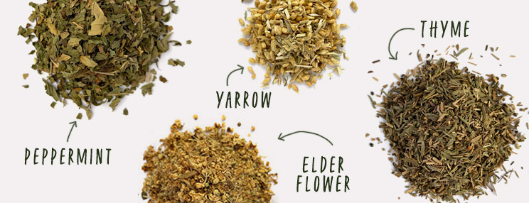 Synergistic Herbs for Daily Resilience
