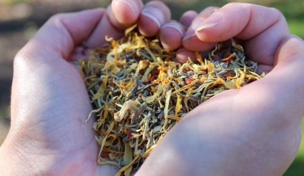 Buff Clucks herbs and botanicals