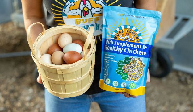 Buff Clucks product display