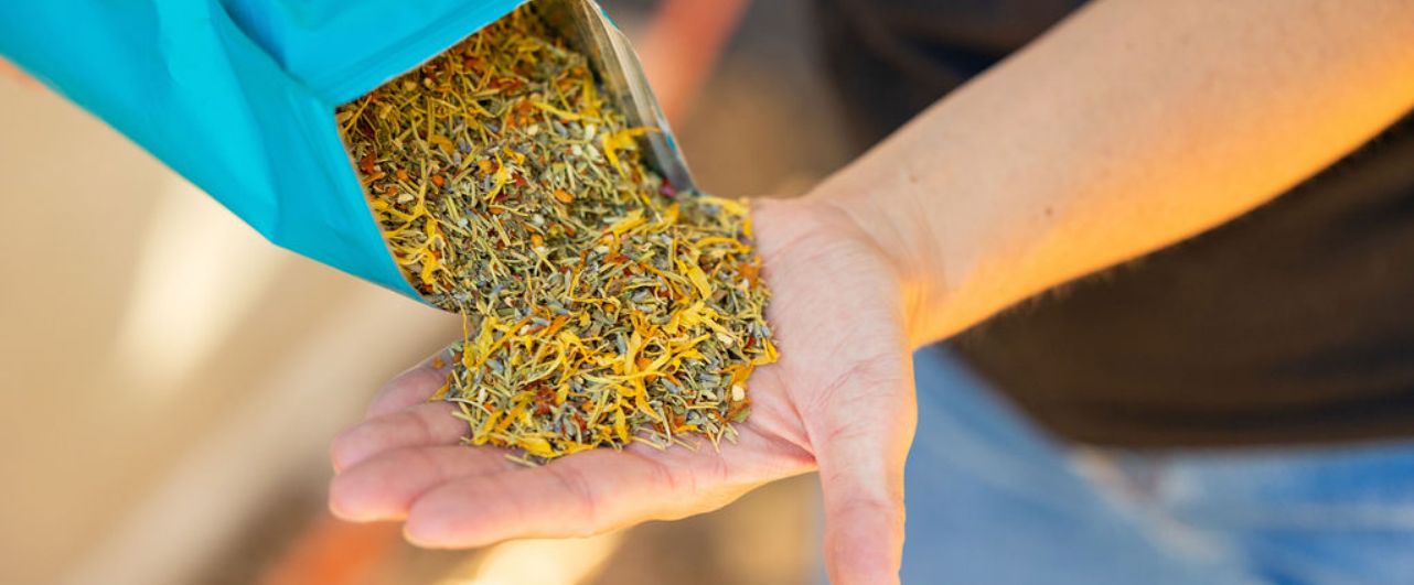 Close-up of herbal blend ingredients