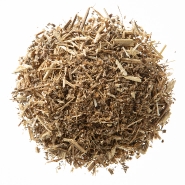 Wormwood