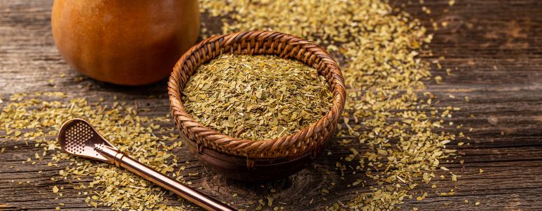 Yerba mate herb