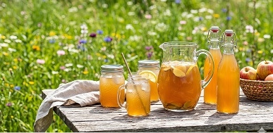 Hypernostalgia: How Familiar Flavors and Botanicals Are Driving New Product Innovation