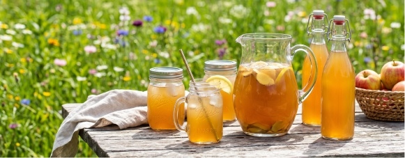 Summertime Switchel - craft beverage with ginger