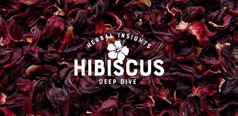 Herbal Insights Deep Dive: How Tos and Benefits of Hibiscus
