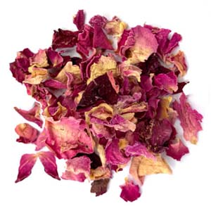 Rose buds