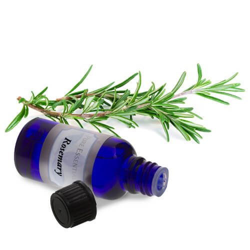 buy bulk rosemary essential oil