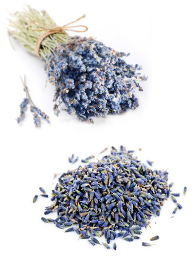 lavender
