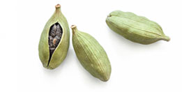 [ cardamom ] ~ from Monterey Bay Spice