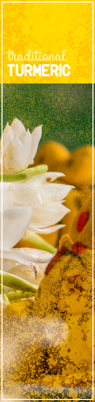 [ Turmeric: The Golden Spice - Turmeric Traditions ] ~ from Monterey Bay Spice
