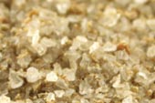 Celery salt image