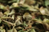 Italian seasoning, c/s image