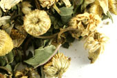Chamomint Tea image