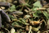 Herbs de Provence, c/s image