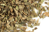 Lobelia herb, c/s, wild crafted image