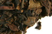 Oolong tea image