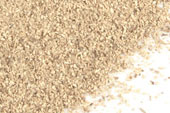 Stone root, powder image