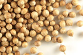Coriander seed, whole Organic image