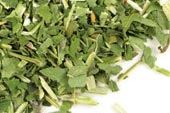 Skullcap herb c/s image