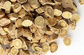 Astragalus root, c/s image