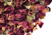 Rose buds red, whole image