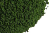 Chlorella, powder image