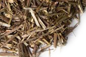 Vervain, c/s, wild crafted image