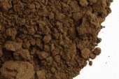 Noni fruit, powder image