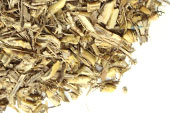 Dog grass root, c/s image