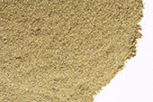 Echinacea Purpurea Tops, powder image