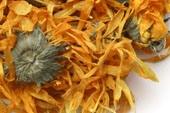 Marigold (calendula), whole image