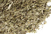 Sage leaf, c/s image