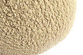 Shepherd's purse herb, powder image