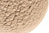 Guggul resin, powder image