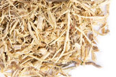 Nettle Root, c/s wild crafted image