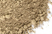 Angelica root, powder image