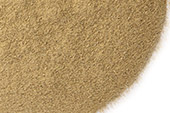Eucalyptus leaf, powder image
