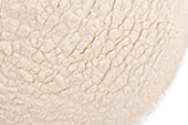 Lychee Juice, Powder image