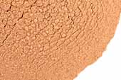 Lucuma Powder, Organic image