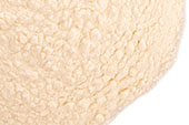 Lime Juice Powder image
