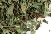 Lemon balm, c/s image
