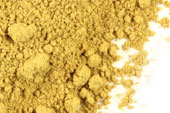 Barberry root bark, powder, wild crafted image