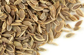 Dill seed, whole image