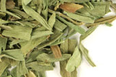 Tarragon, c/s image