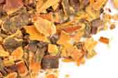 Buckthorn bark, c/s image
