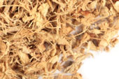 Galangal root, c/s image