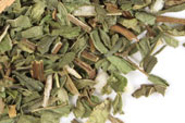 Spearmint leaf (domestic), c/s image